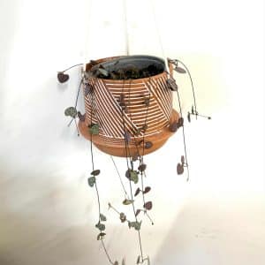 Chain of hearts in hanging pot