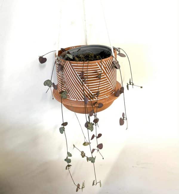 Chain of hearts in hanging pot